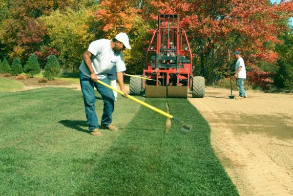 Questions on installation and maintenance of turf | Turf Inc RI Turf ...